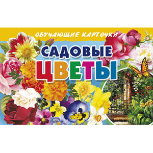 Карточки. Садовые цветы
